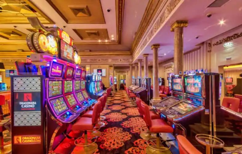 Antarmuka live stream Dream Catcher di slot88toto menampilkan hasil real-time dan statistik pemain